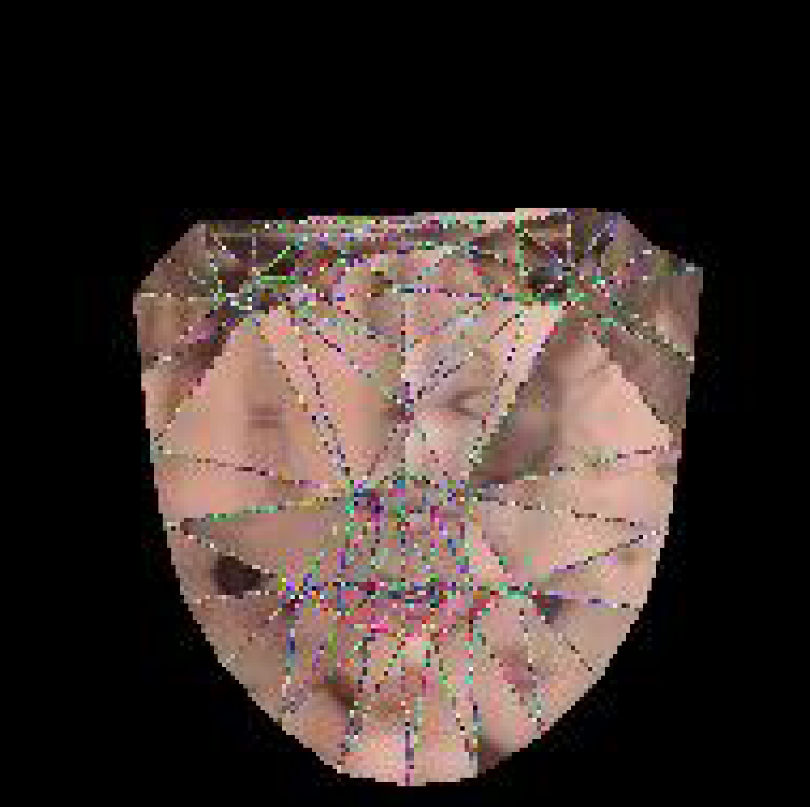 Portfolio Image 5