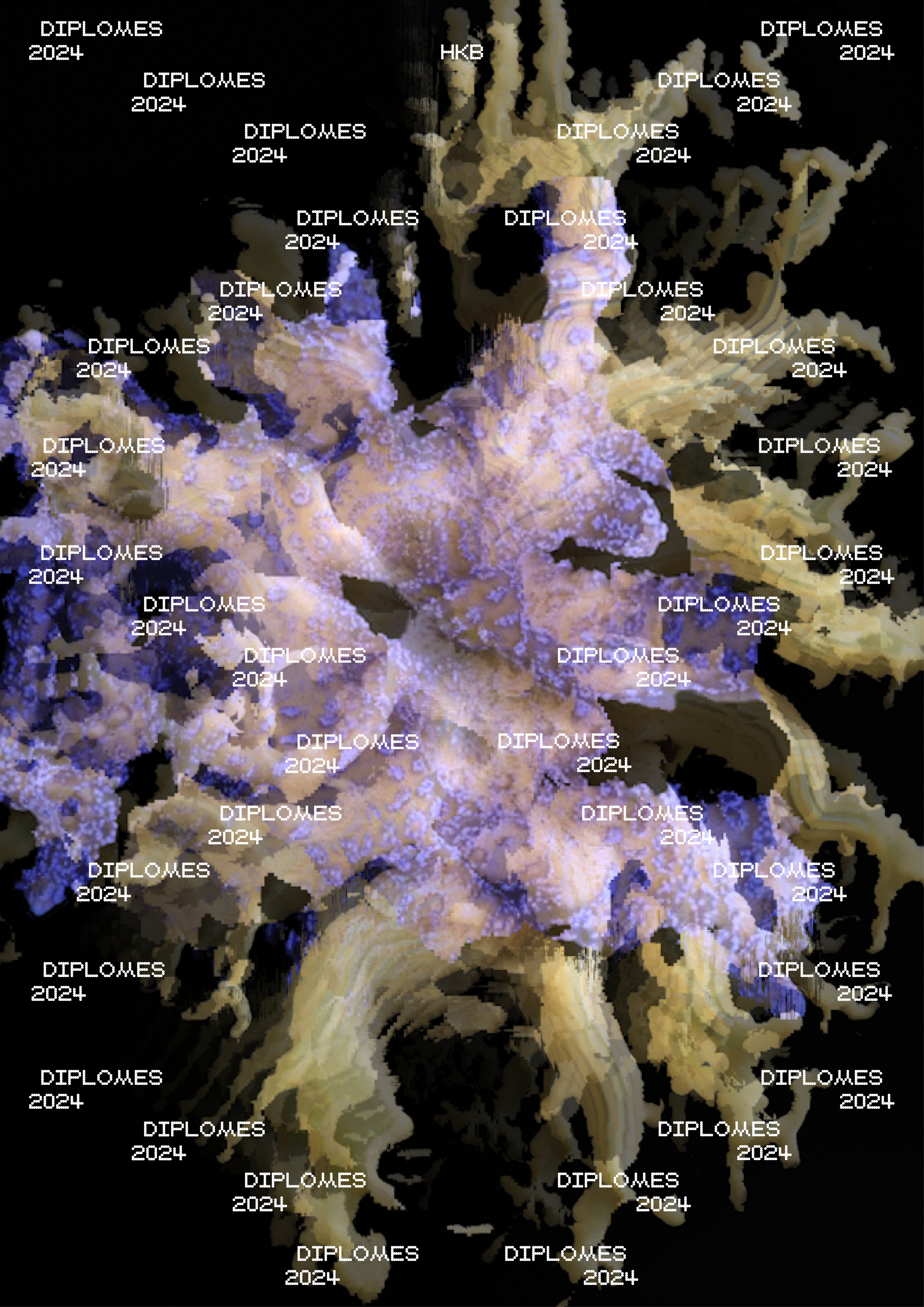 Portfolio Image 5
