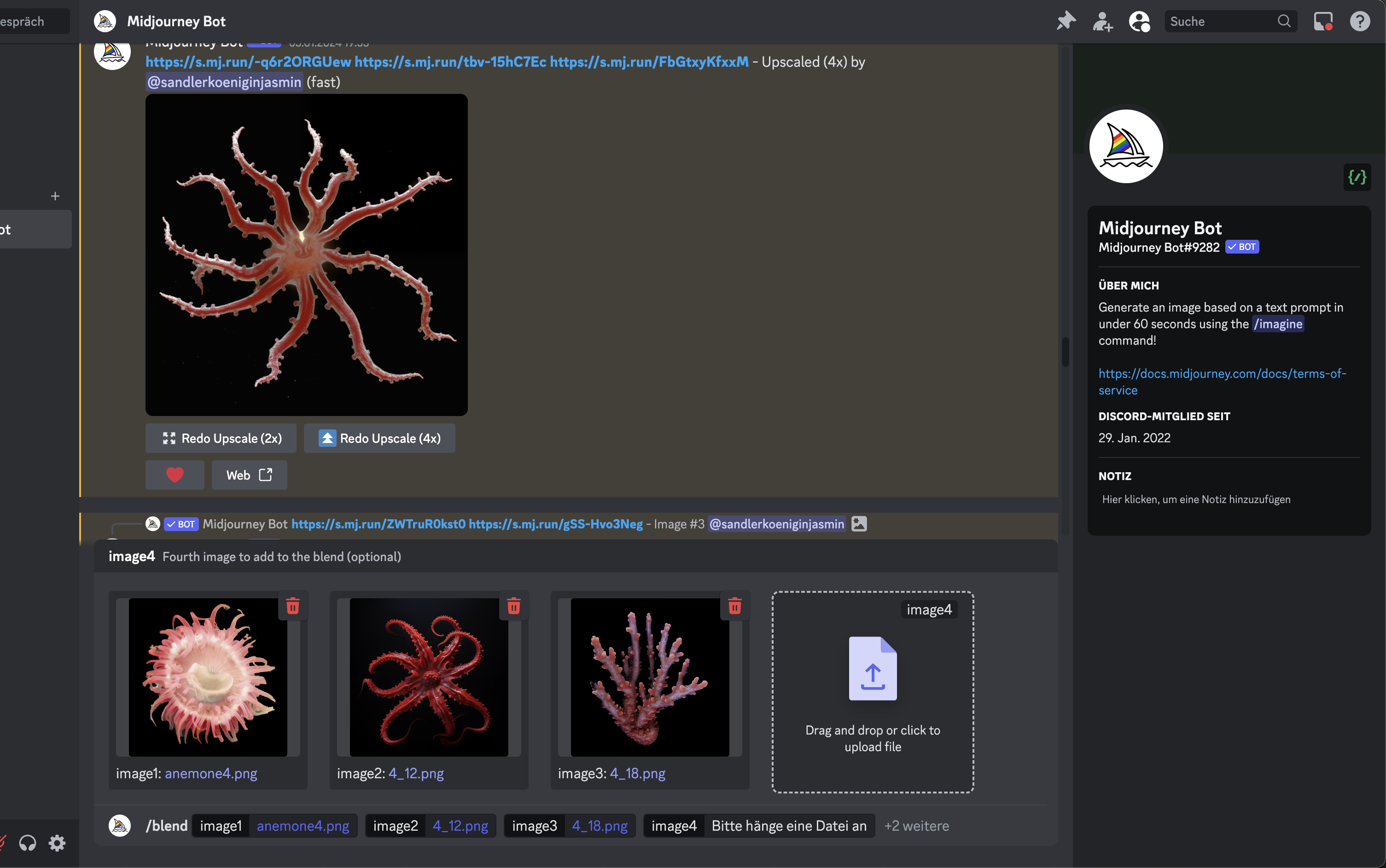 Portfolio Image 5