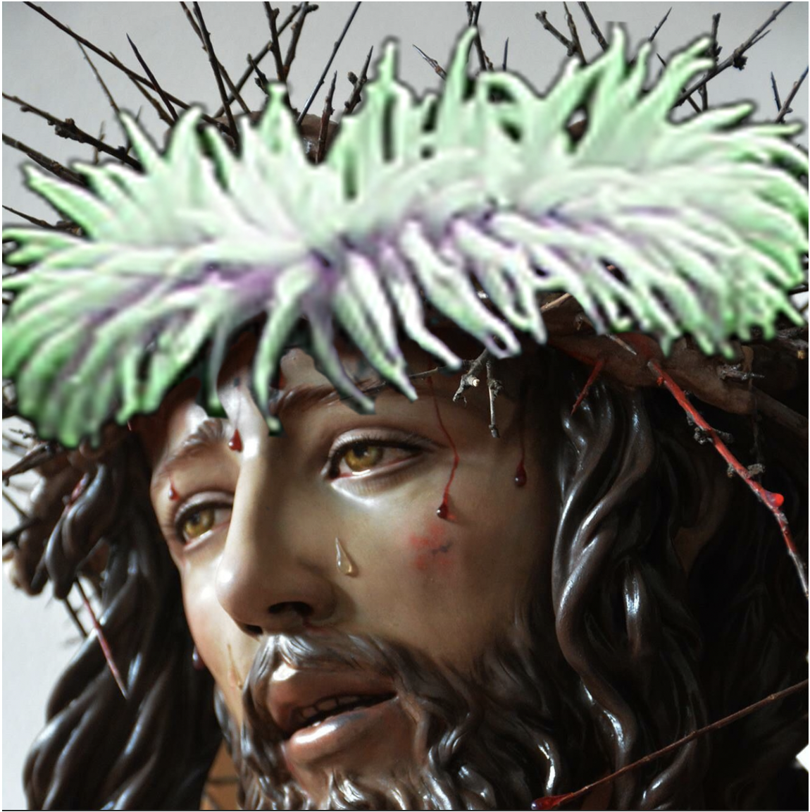 Portfolio Image 5