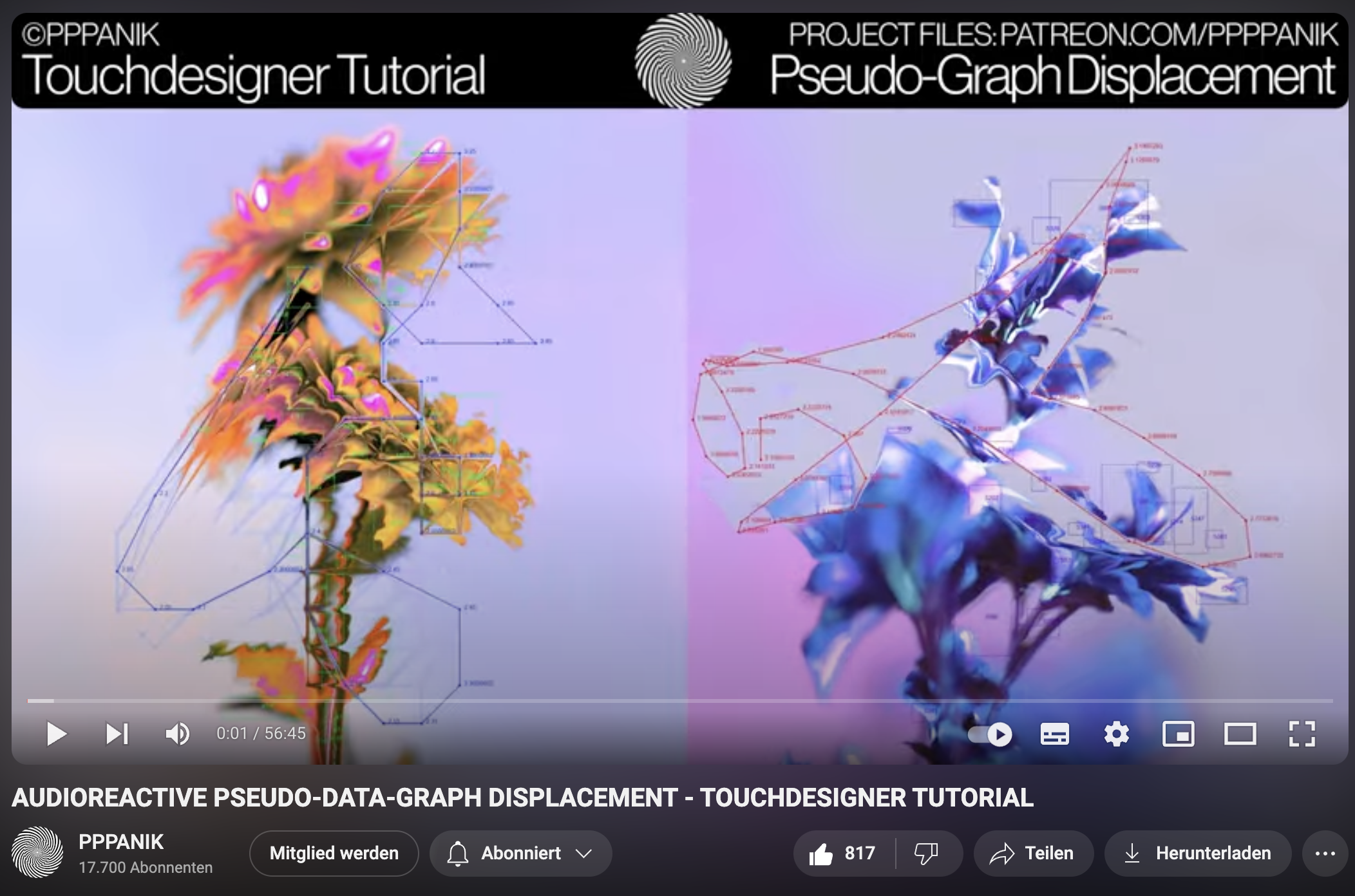 Portfolio Image 5