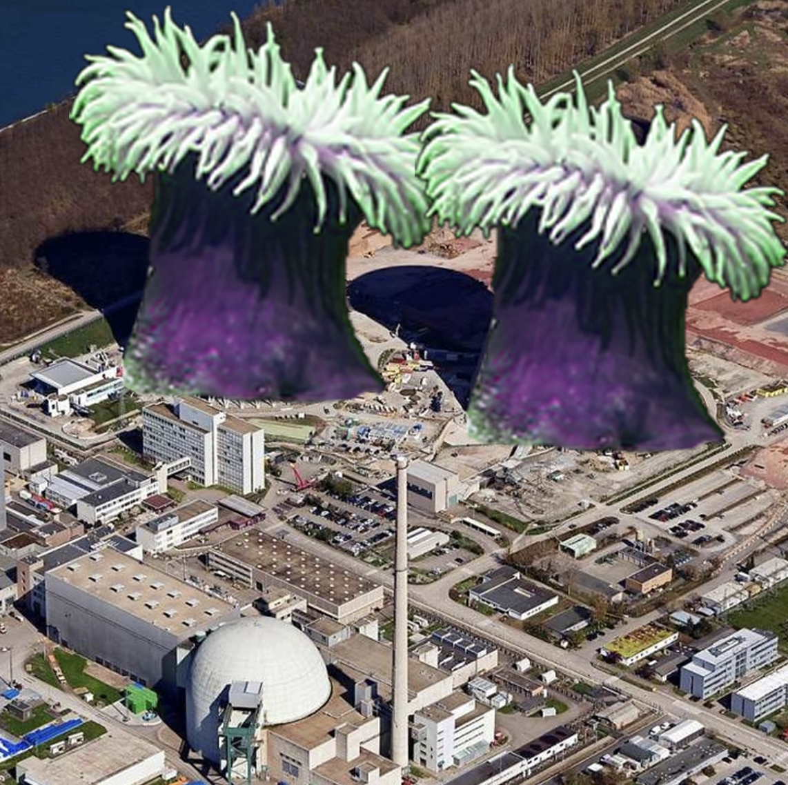 Portfolio Image 5