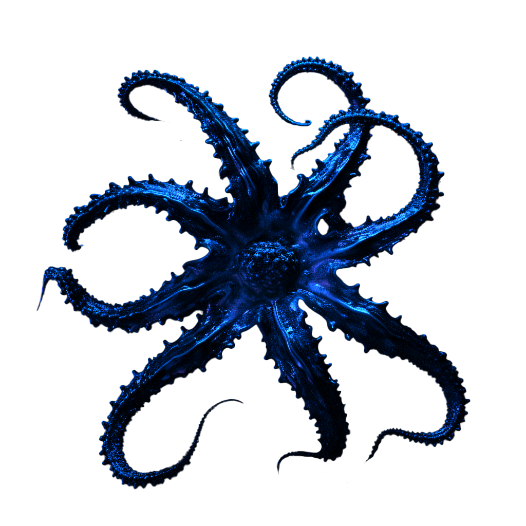 Portfolio Image 5