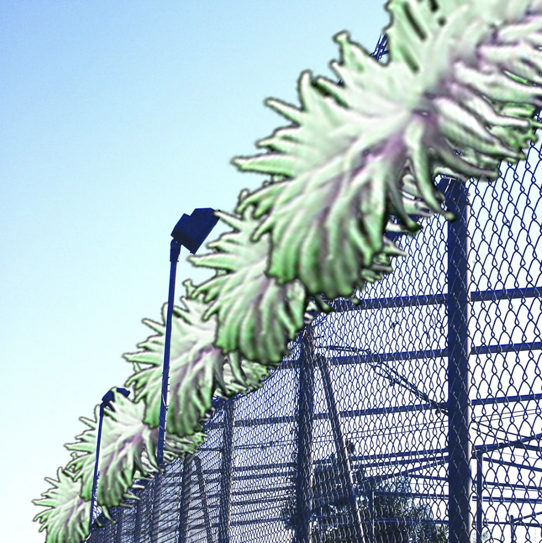 Portfolio Image 5