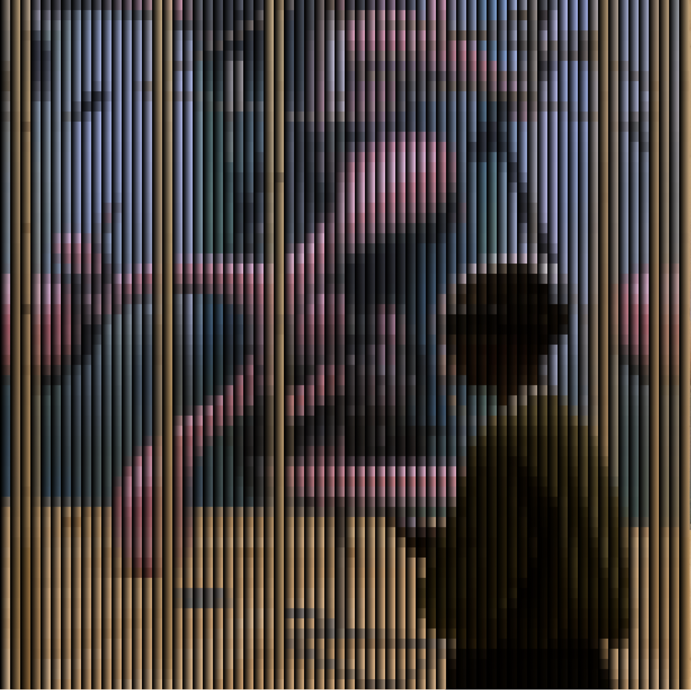 Portfolio Image 5