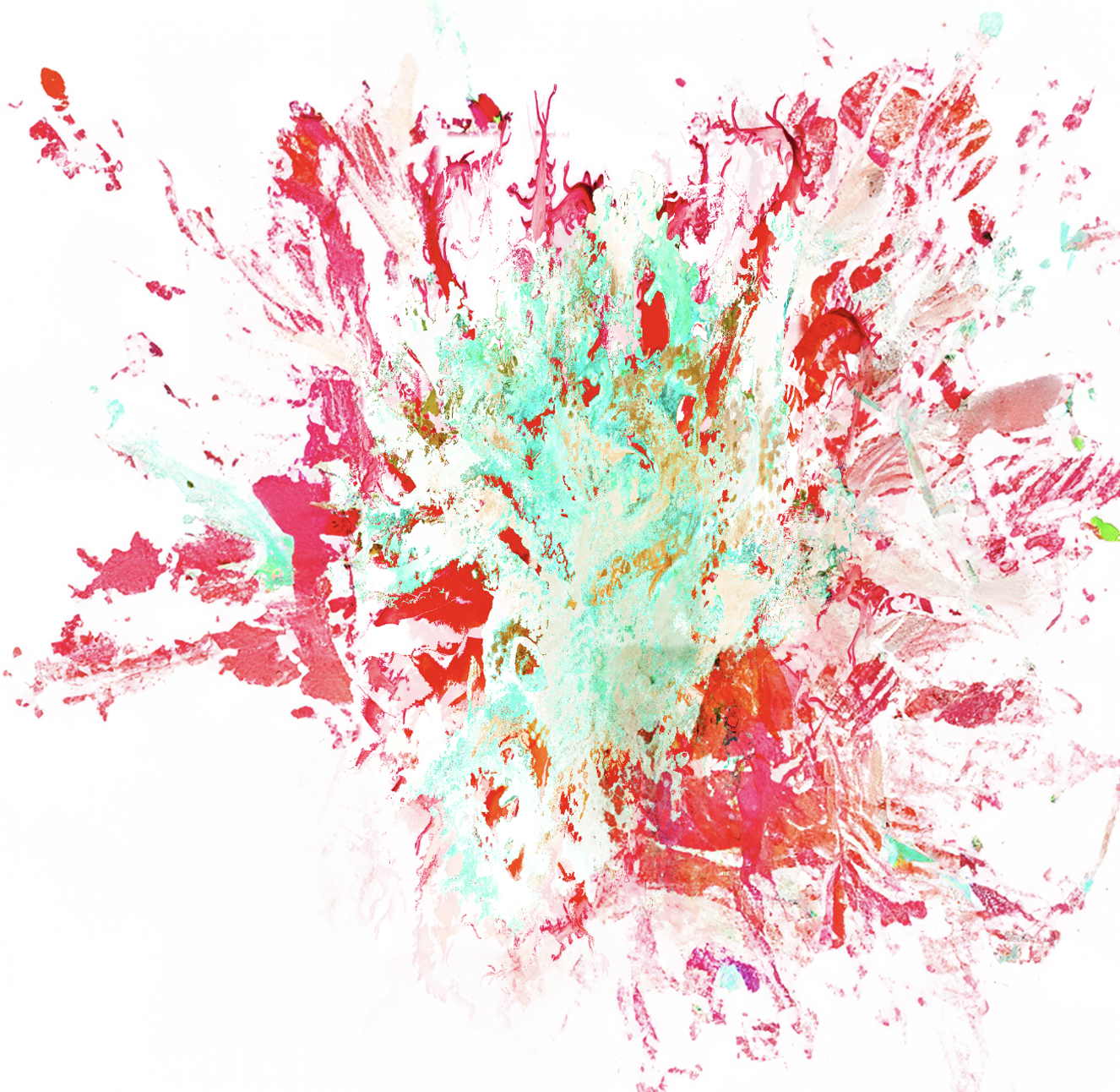 Portfolio Image 5