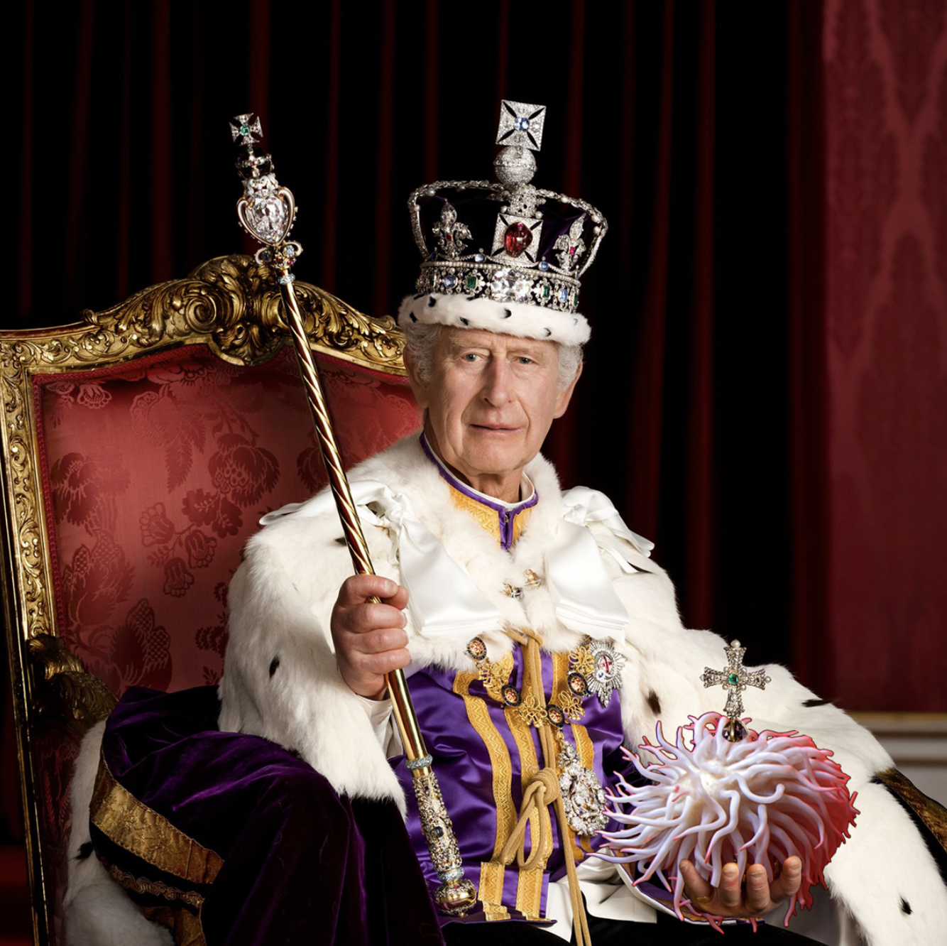Portfolio Image 5