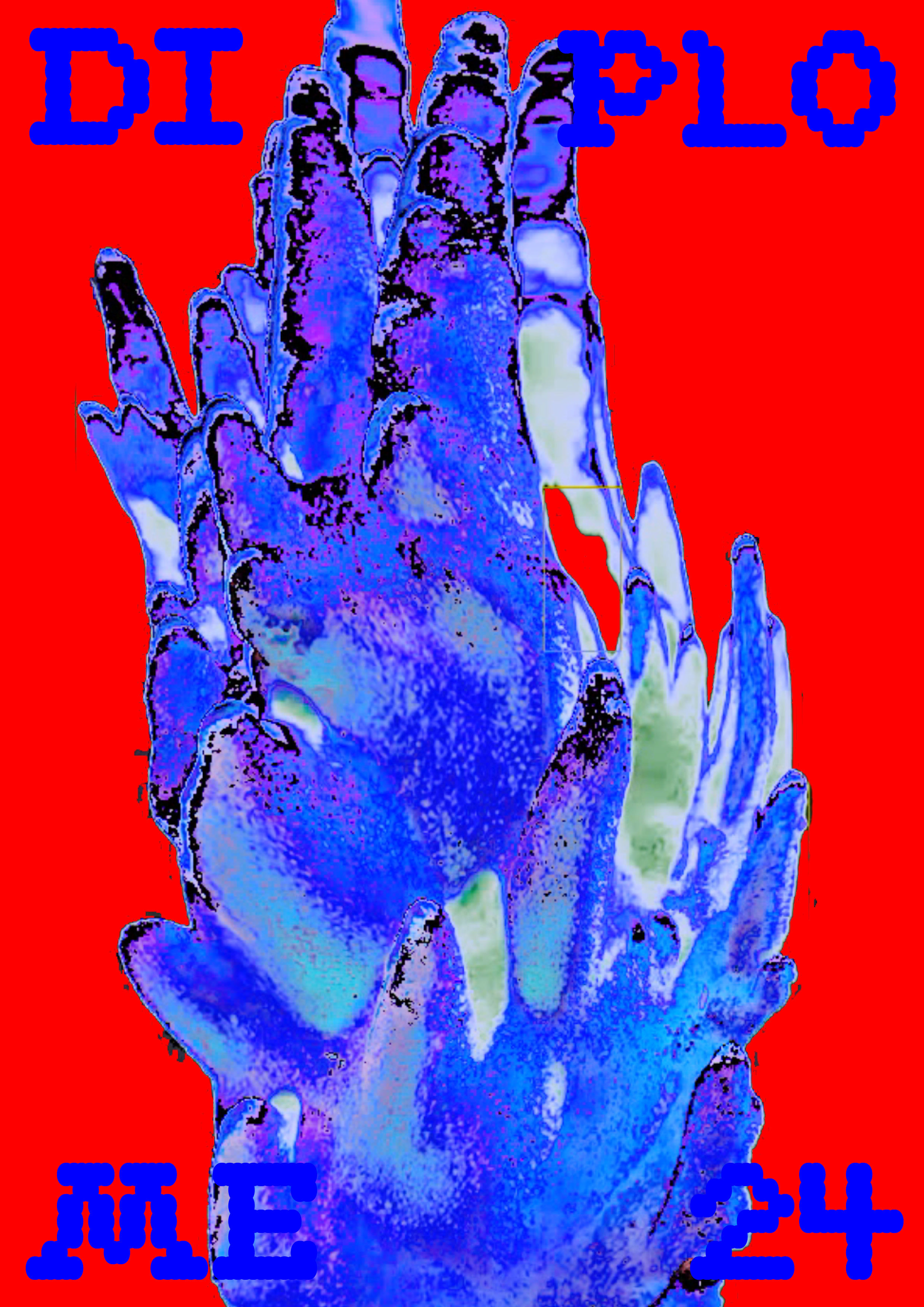 Portfolio Image 5