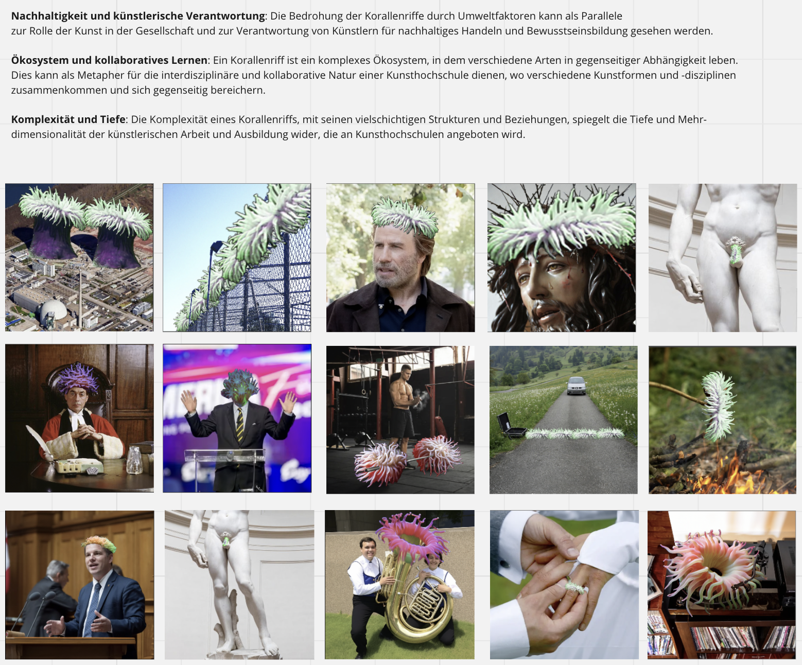 Portfolio Image 5