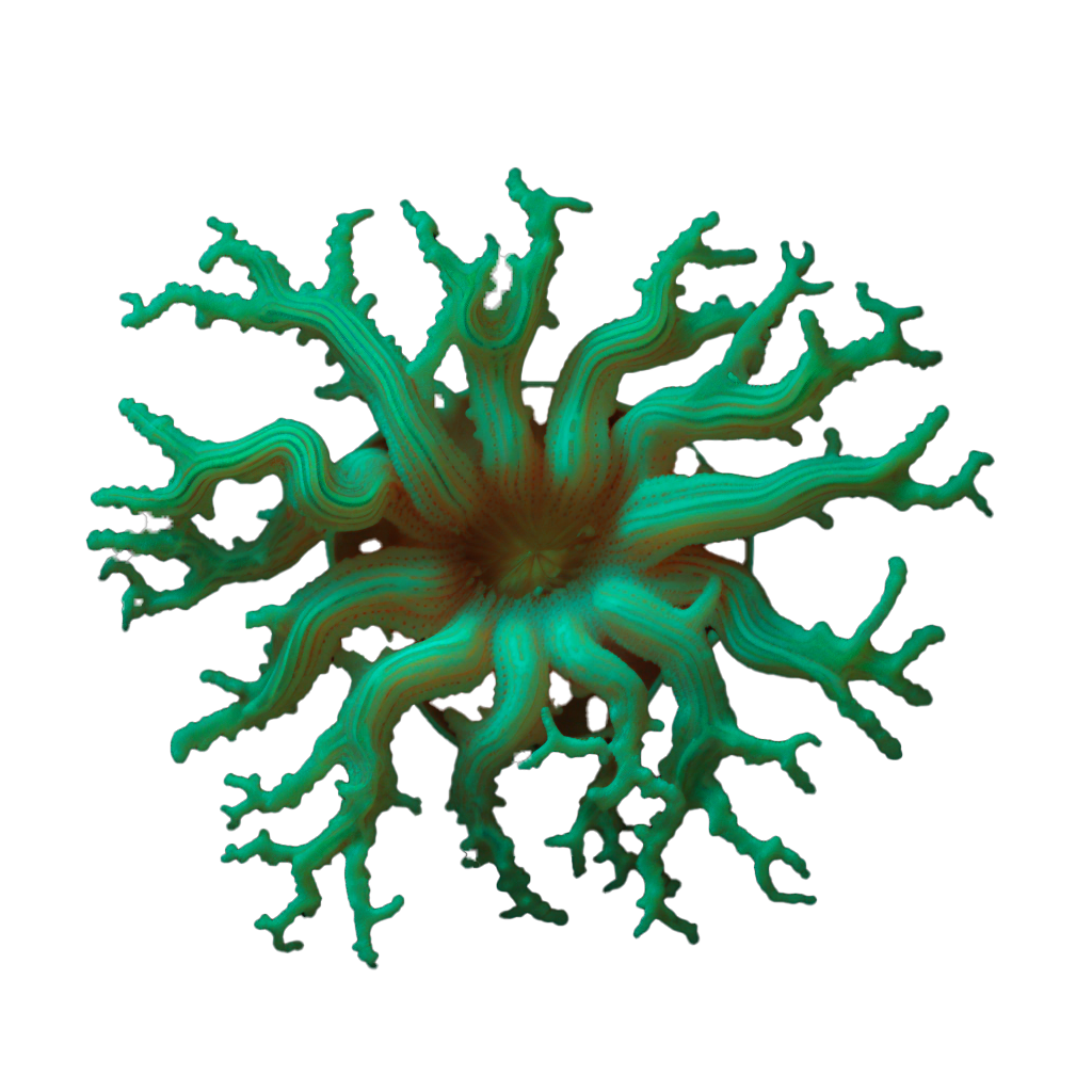 Portfolio Image 5