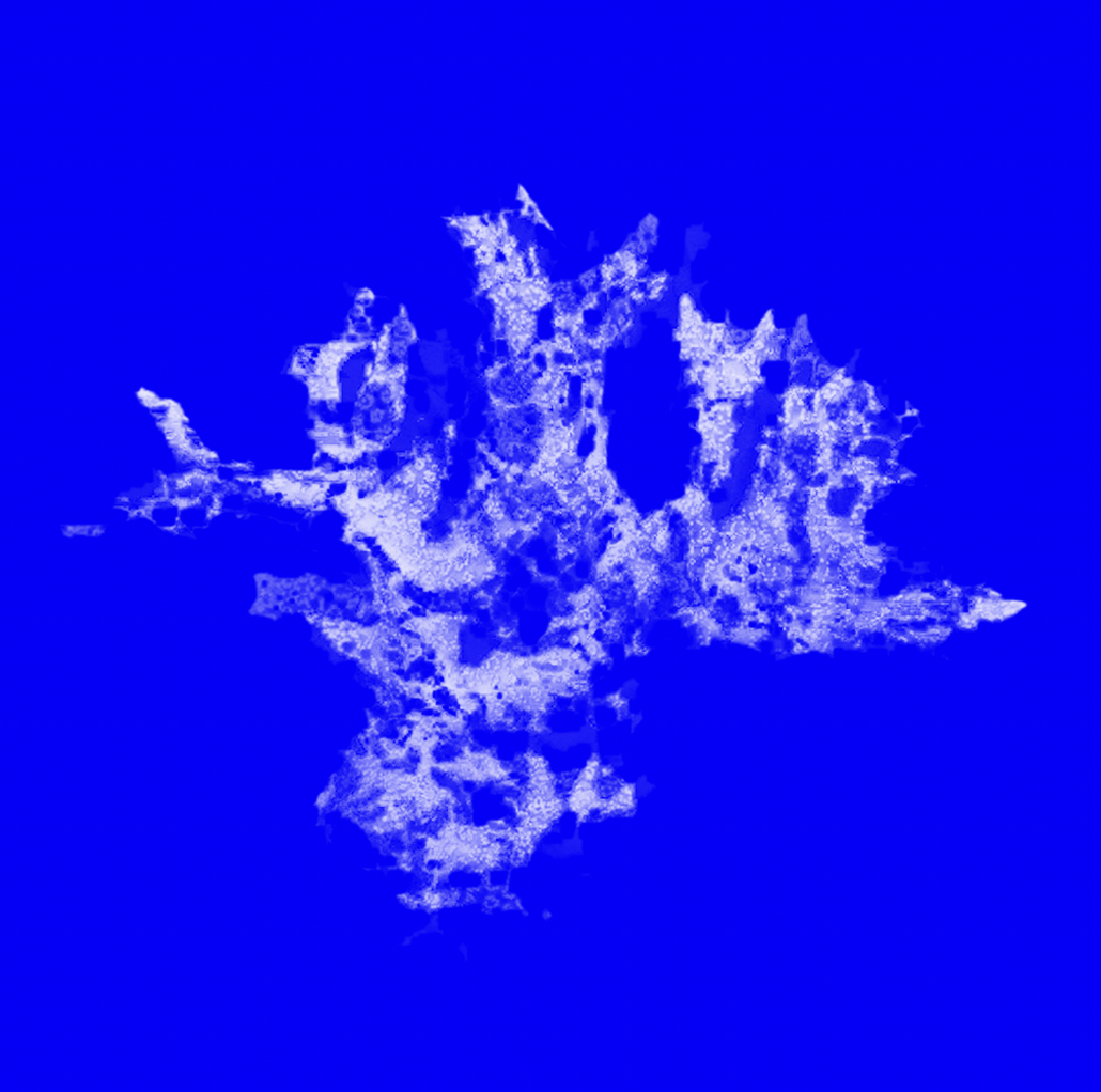 Portfolio Image 5