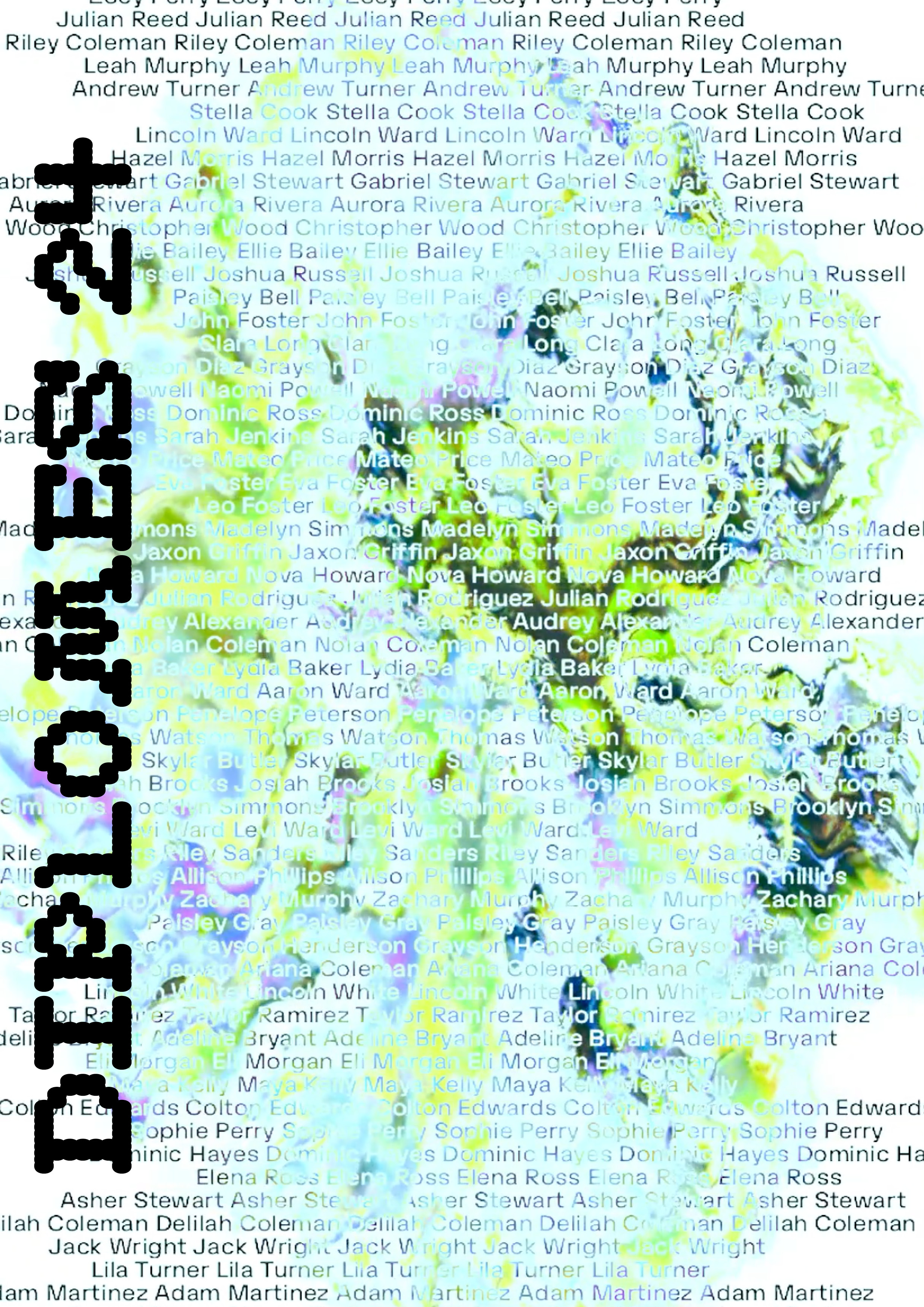 Portfolio Image 5