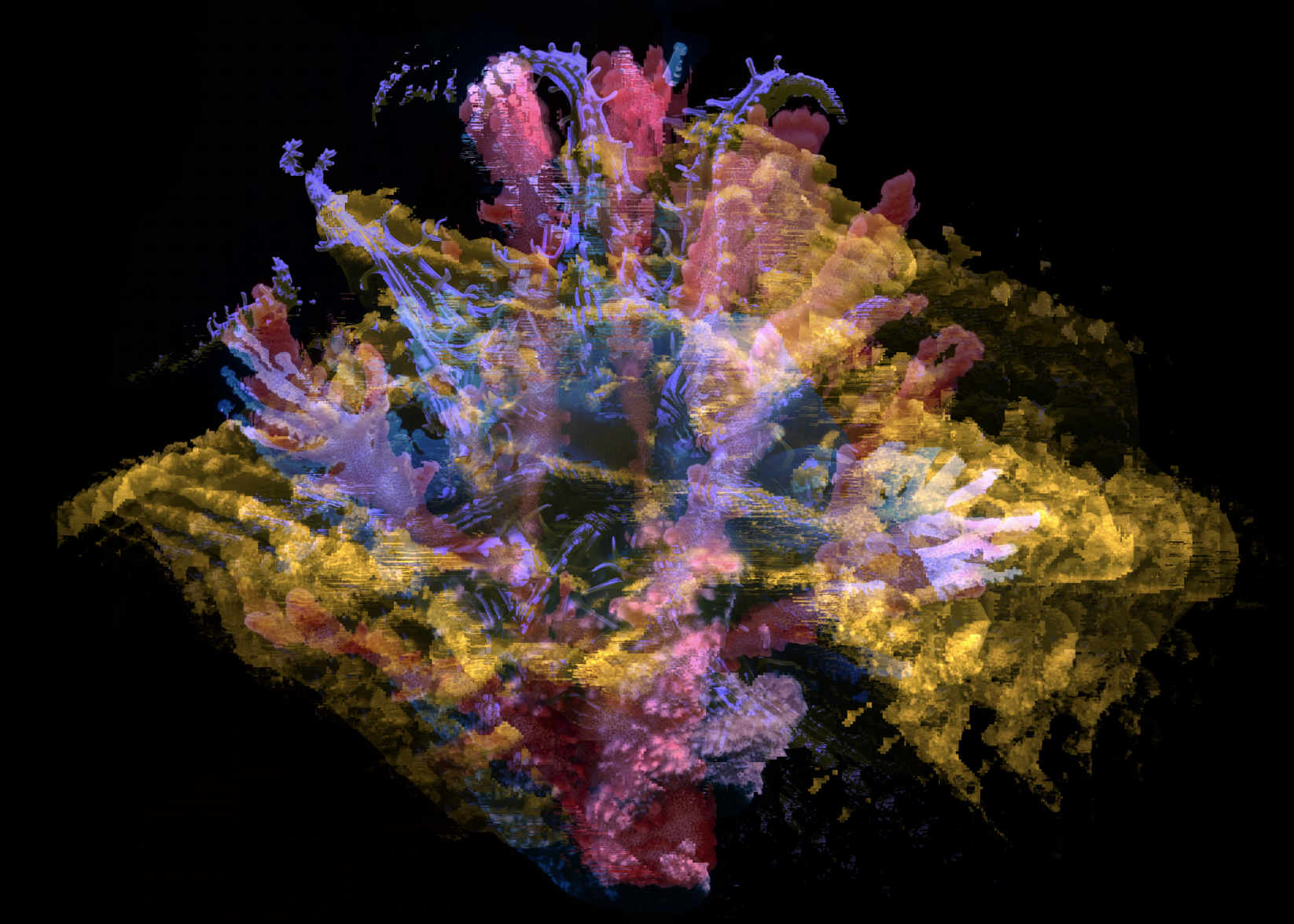 Portfolio Image 5
