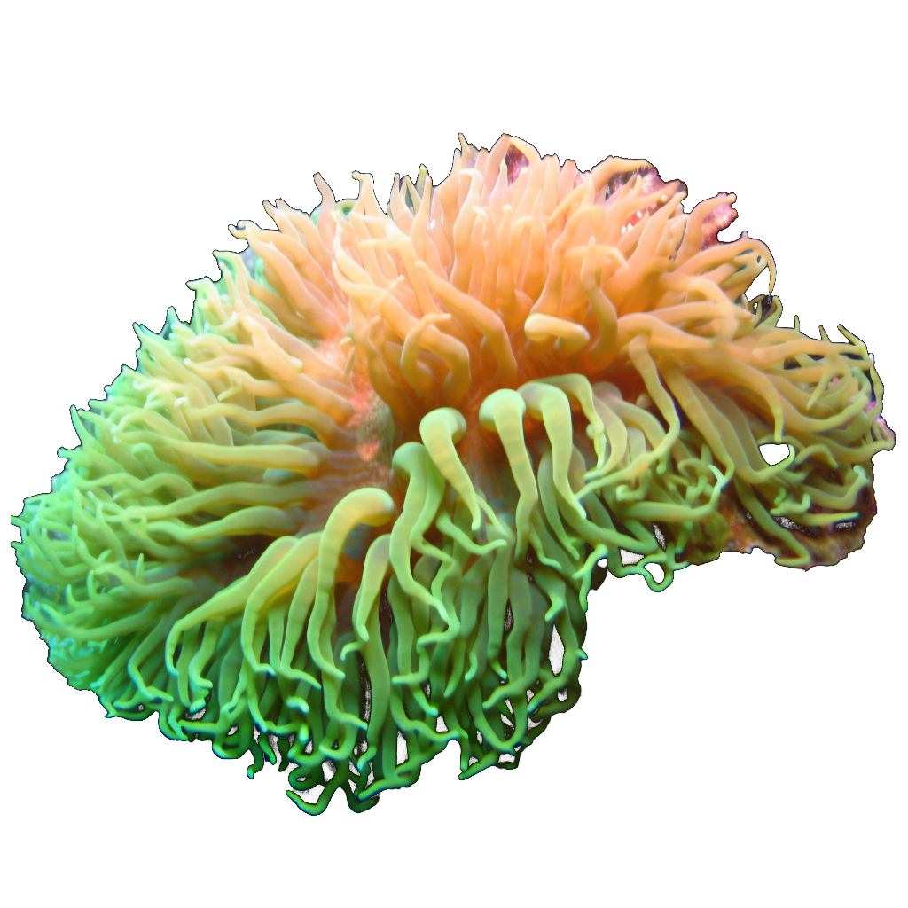 Portfolio Image 5