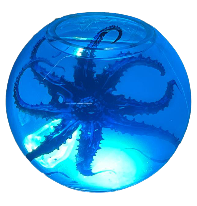 Portfolio Image 5
