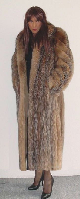 Portfolio Image 5
