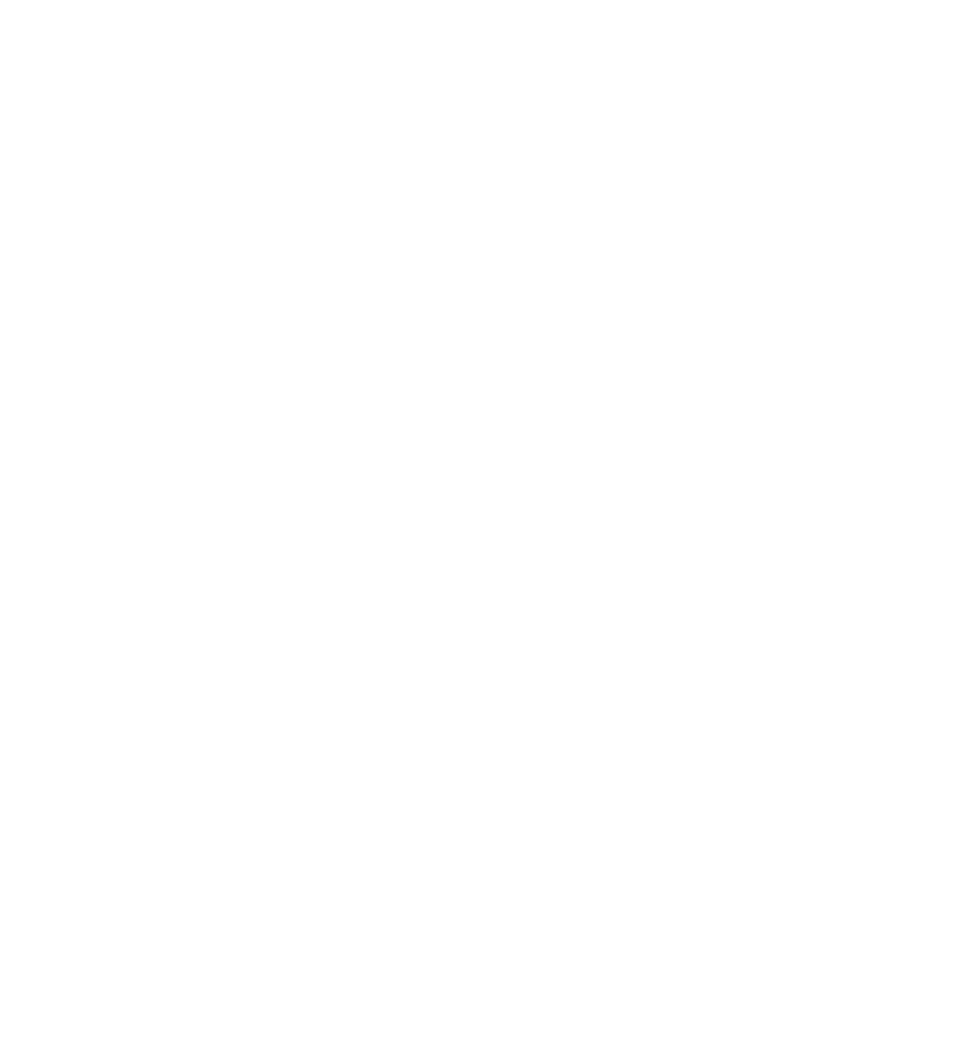 Portfolio Image 5