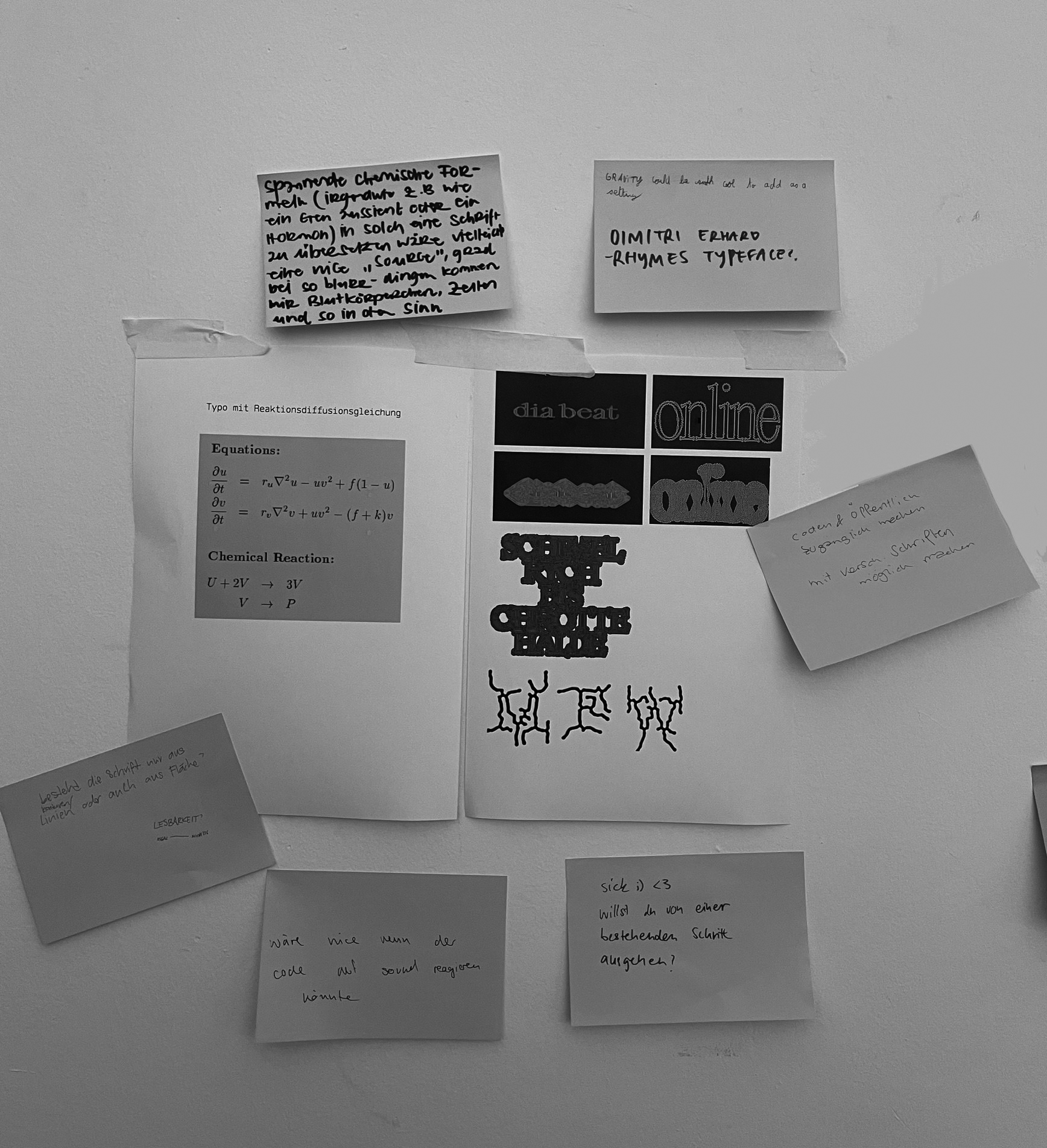 Portfolio Image 5