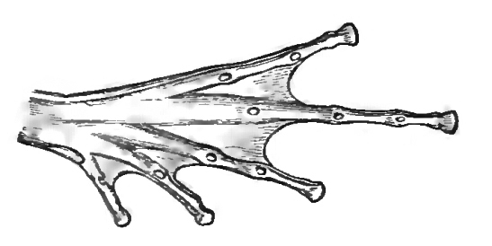 Portfolio Image 5