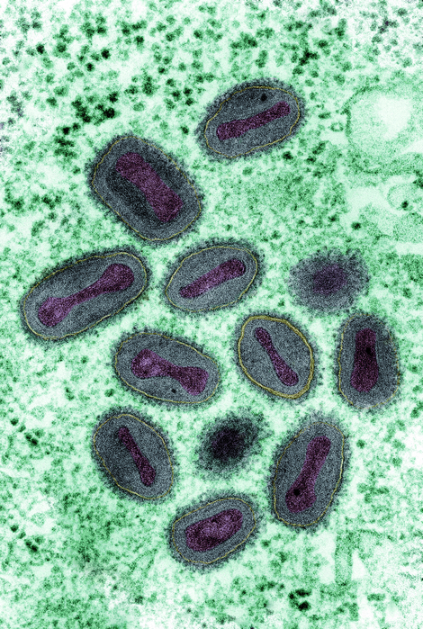 Portfolio Image 5