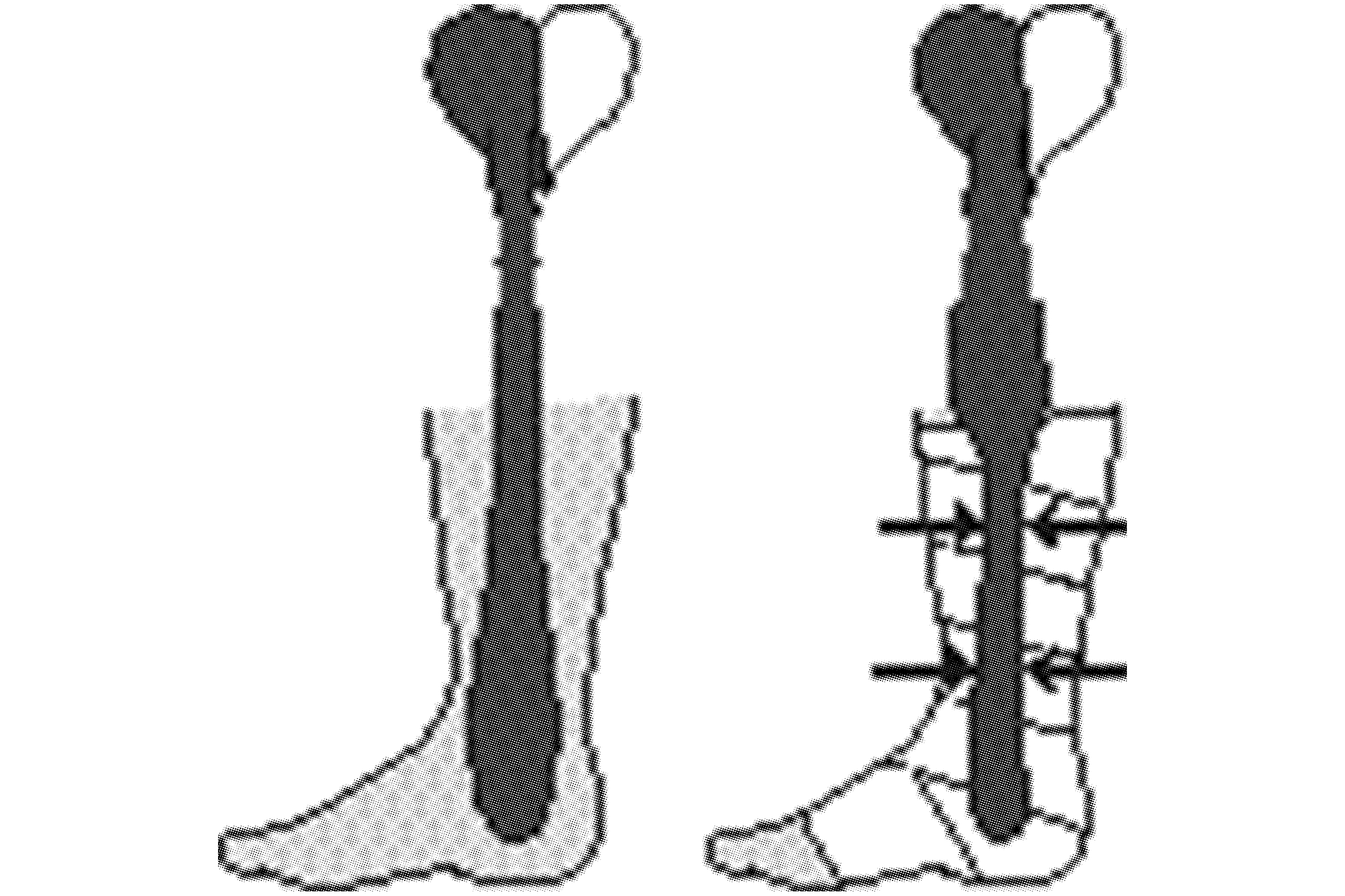 Portfolio Image 5
