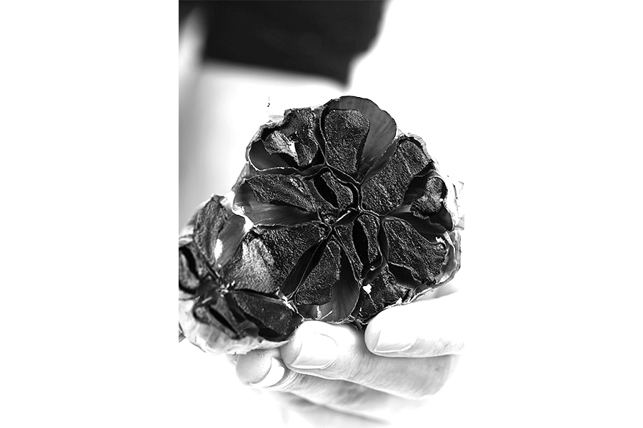Portfolio Image 5