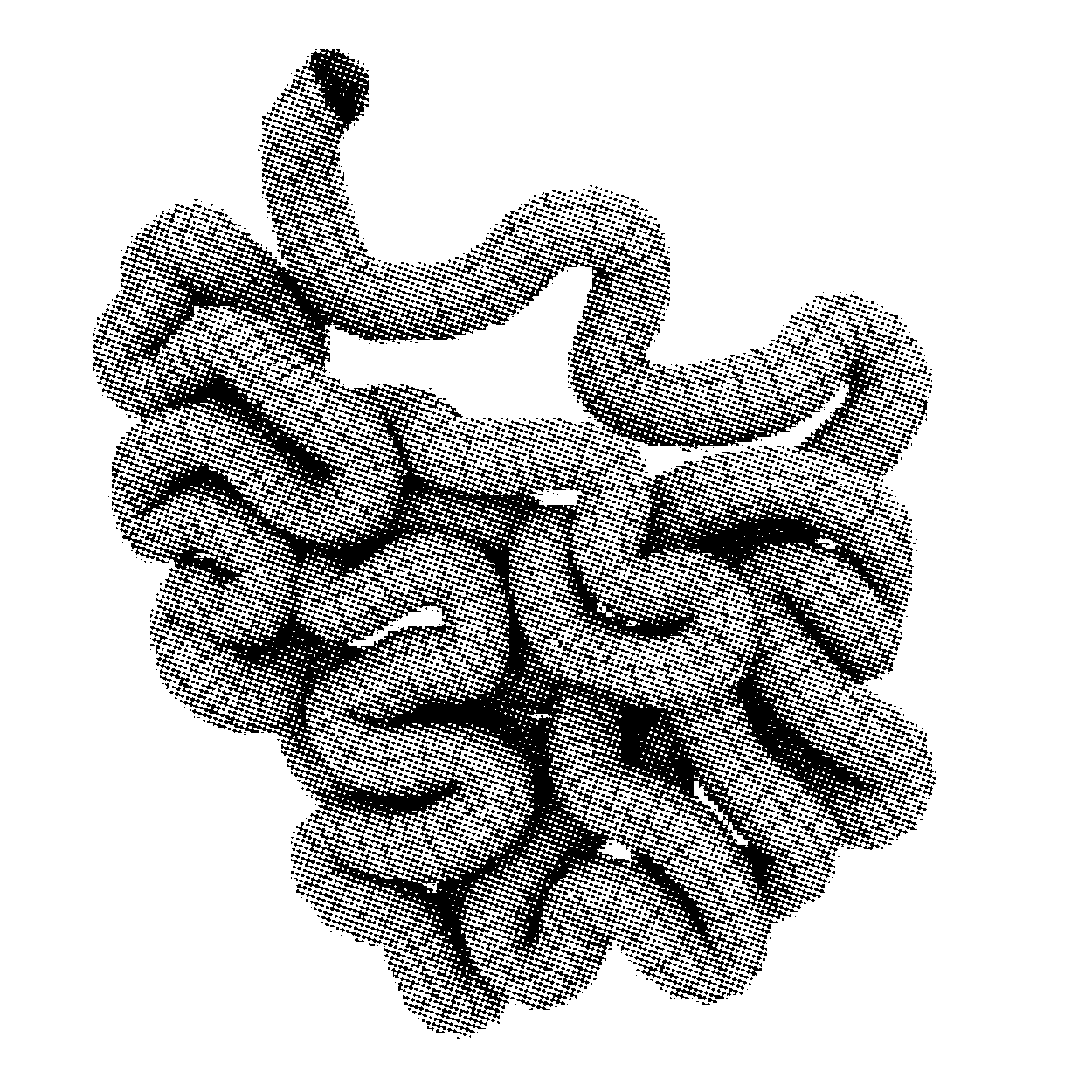 Portfolio Image 5