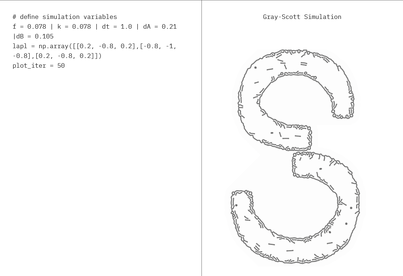 Portfolio Image 5