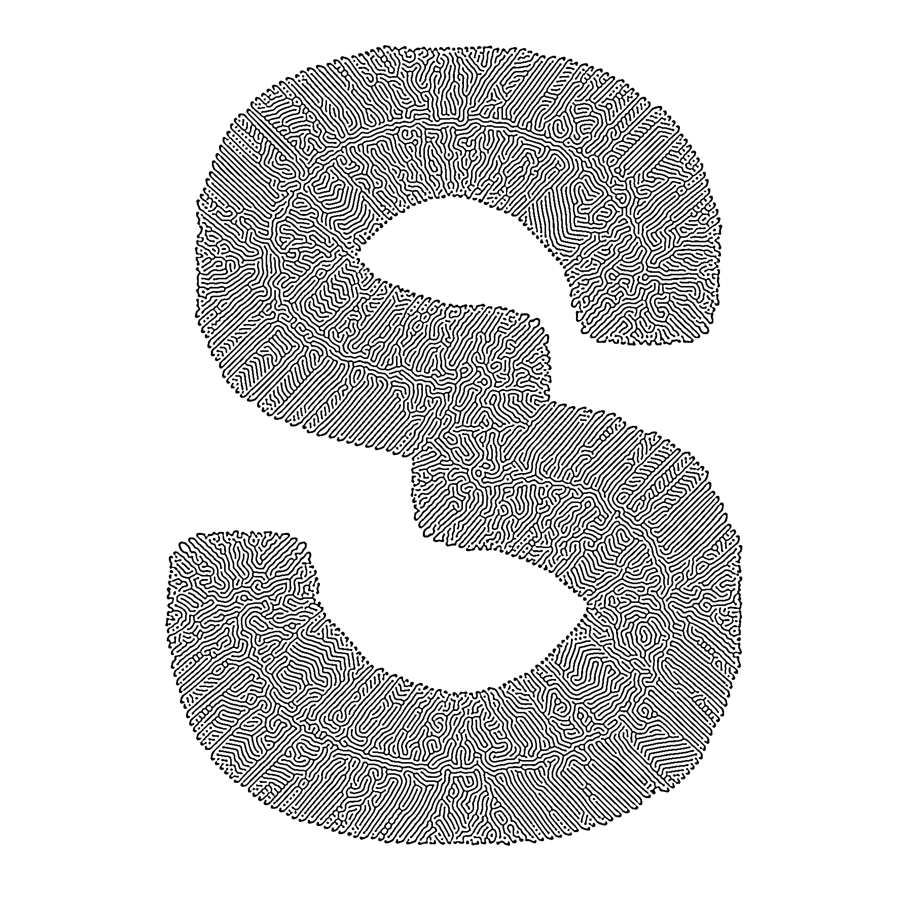 Portfolio Image 5